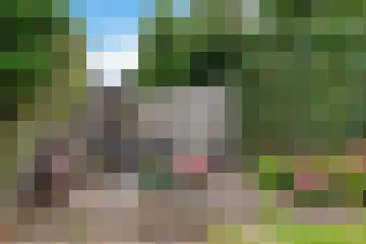 Vossenbrinkweg 31 Delden thumbnail 47