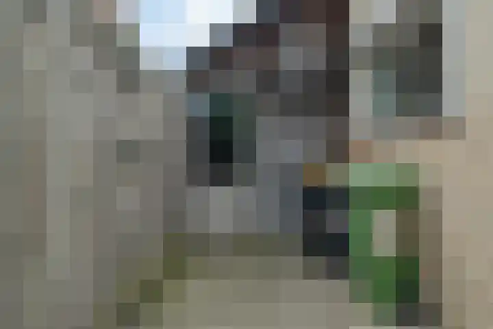 Vossenbrinkweg 31 Delden thumbnail 48