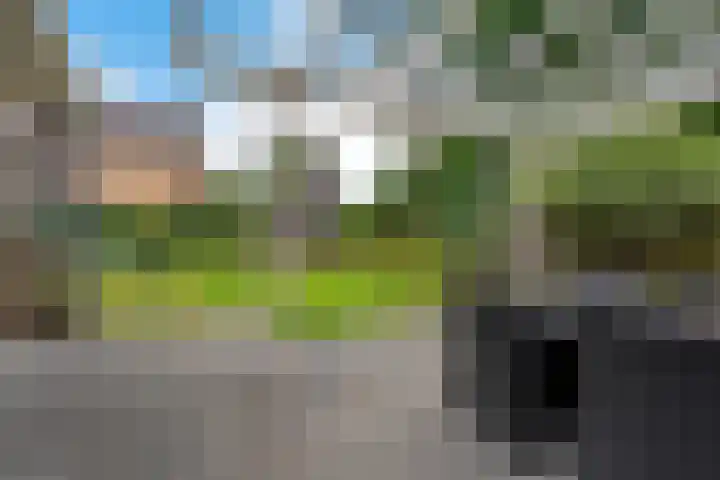 Vossenbrinkweg 31 Delden thumbnail 49