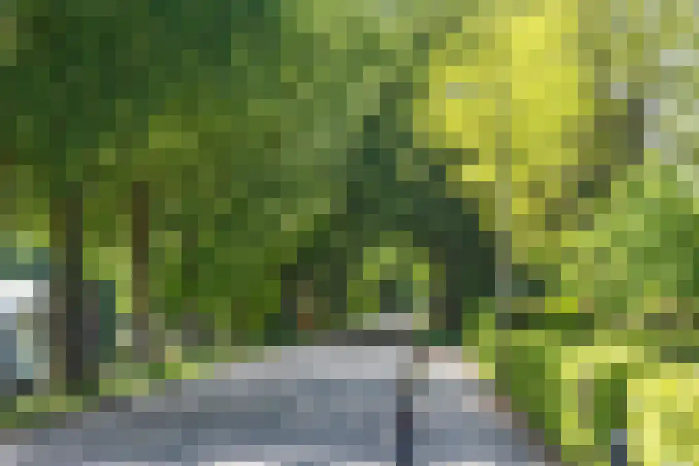 Vossenbrinkweg 39 Delden thumbnail 46