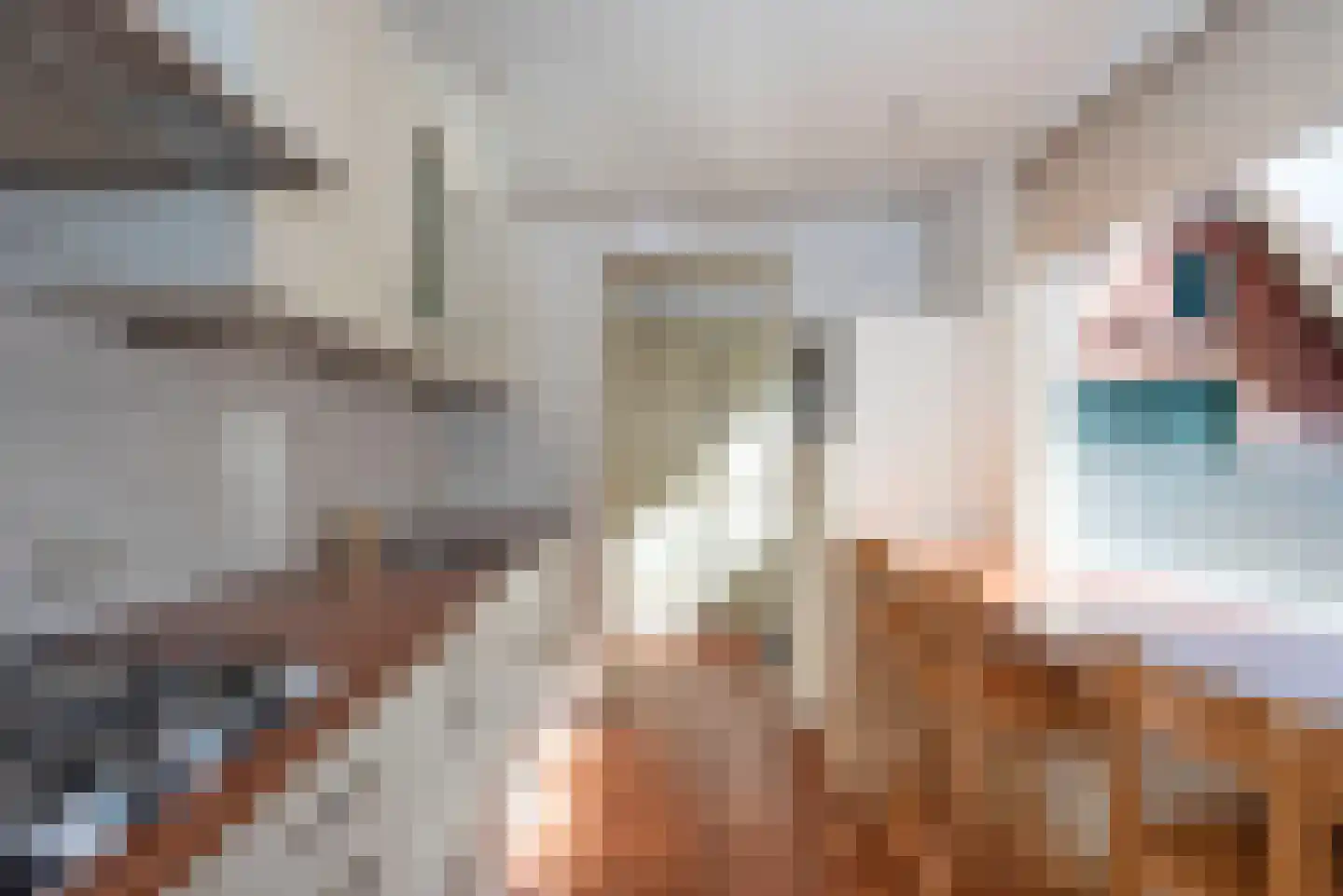 Vossenbrinkweg 45 Delden thumbnail 12