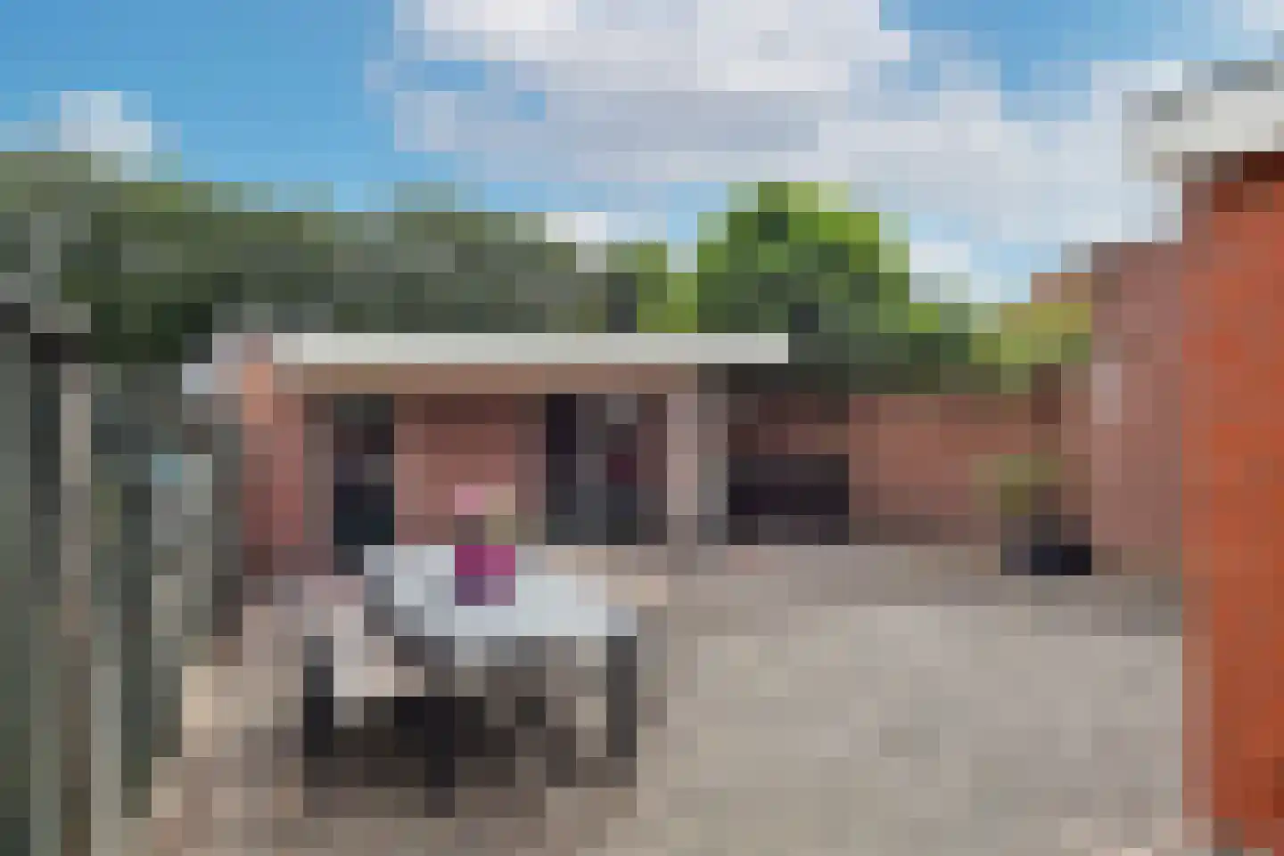 Vossenbrinkweg 73 Delden thumbnail 31