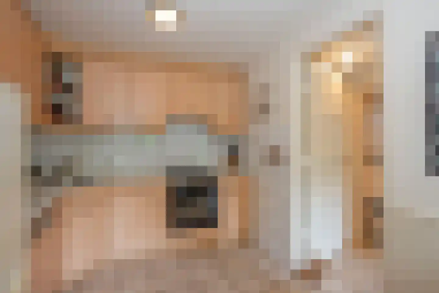 Vossenbrinkweg 74 Delden thumbnail 16