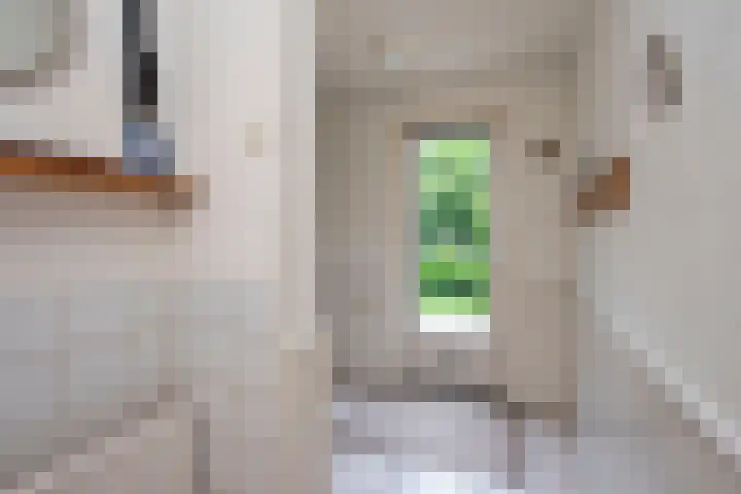 Vossenbrinkweg 74 Delden thumbnail 17