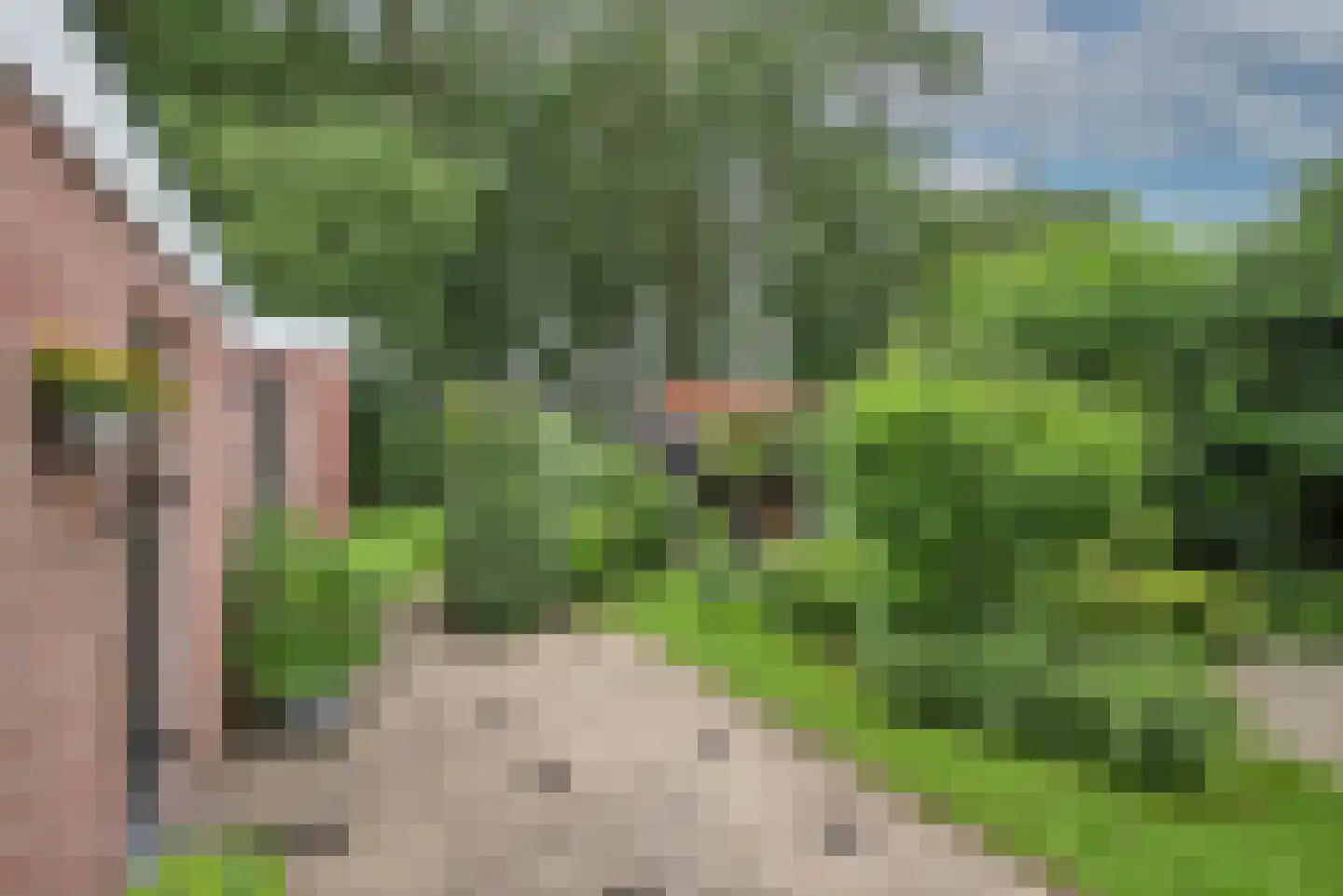 Vossenbrinkweg 74 Delden thumbnail 32