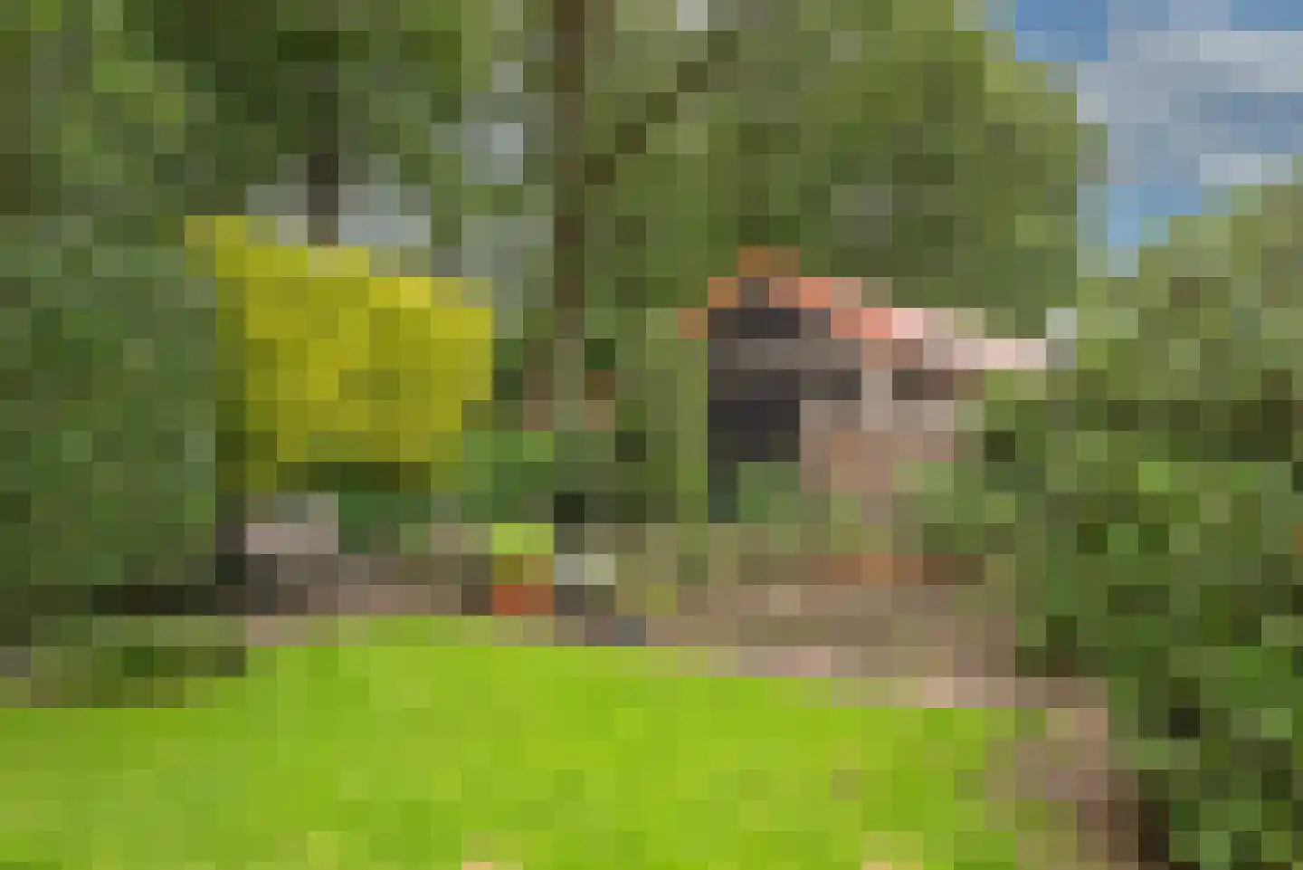 Vossenbrinkweg 74 Delden thumbnail 38
