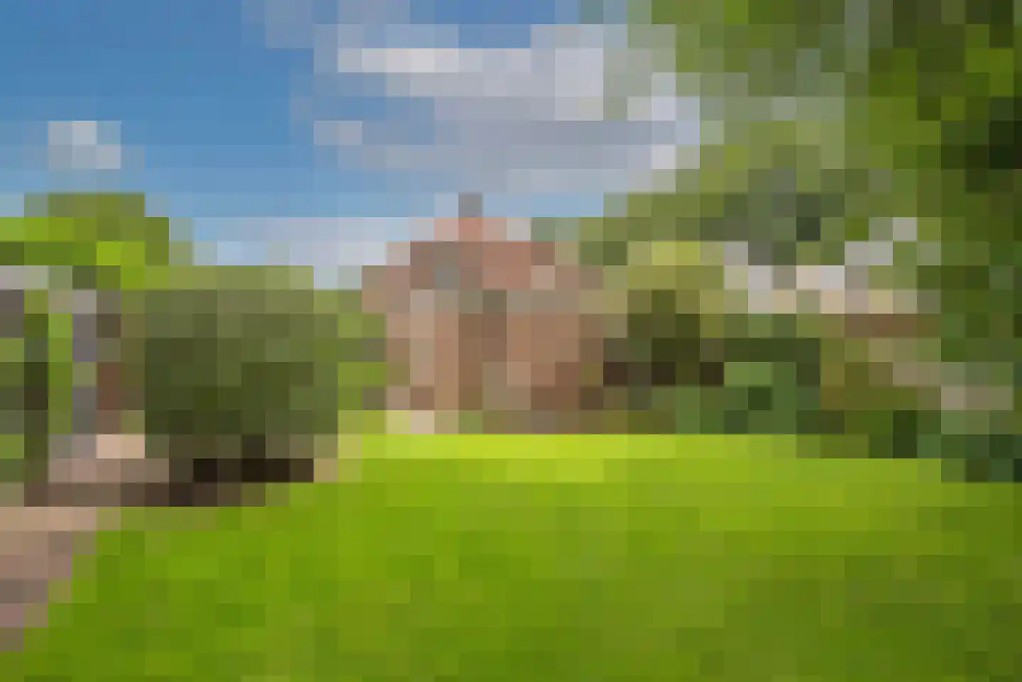 Vossenbrinkweg 74 Delden thumbnail 4