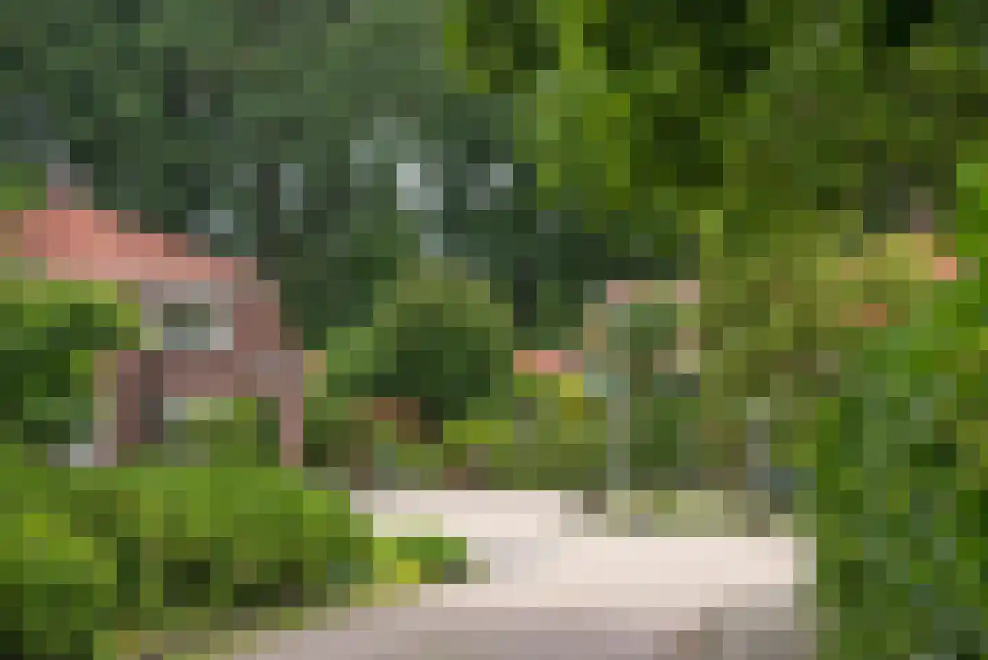 Vossenbrinkweg 74 Delden thumbnail 43