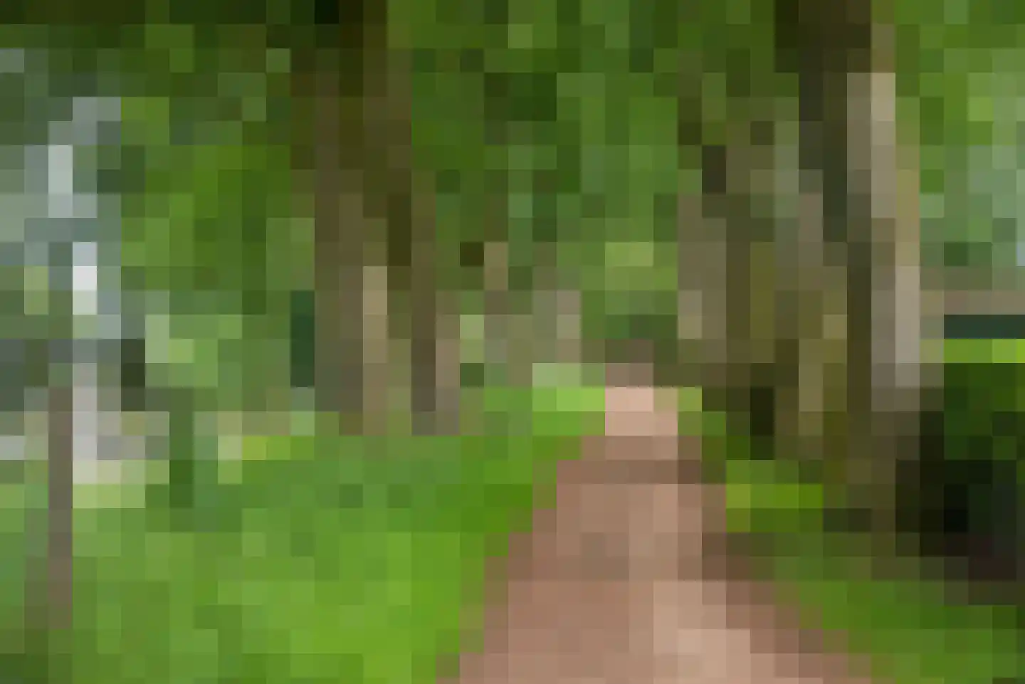 Vossenbrinkweg 74 Delden thumbnail 44