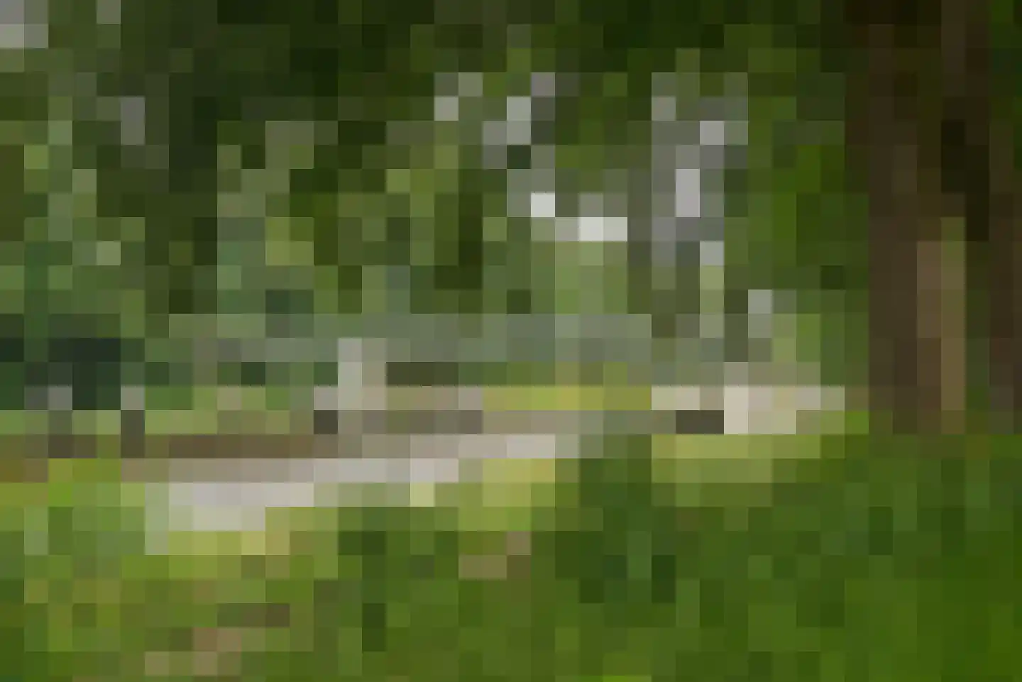Vossenbrinkweg 74 Delden thumbnail 45