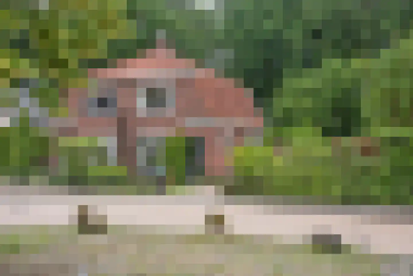 Vossenbrinkweg 74 Delden thumbnail 47