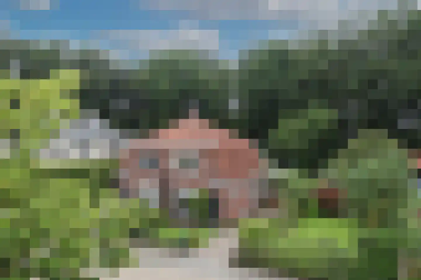 Vossenbrinkweg 74 Delden thumbnail 48