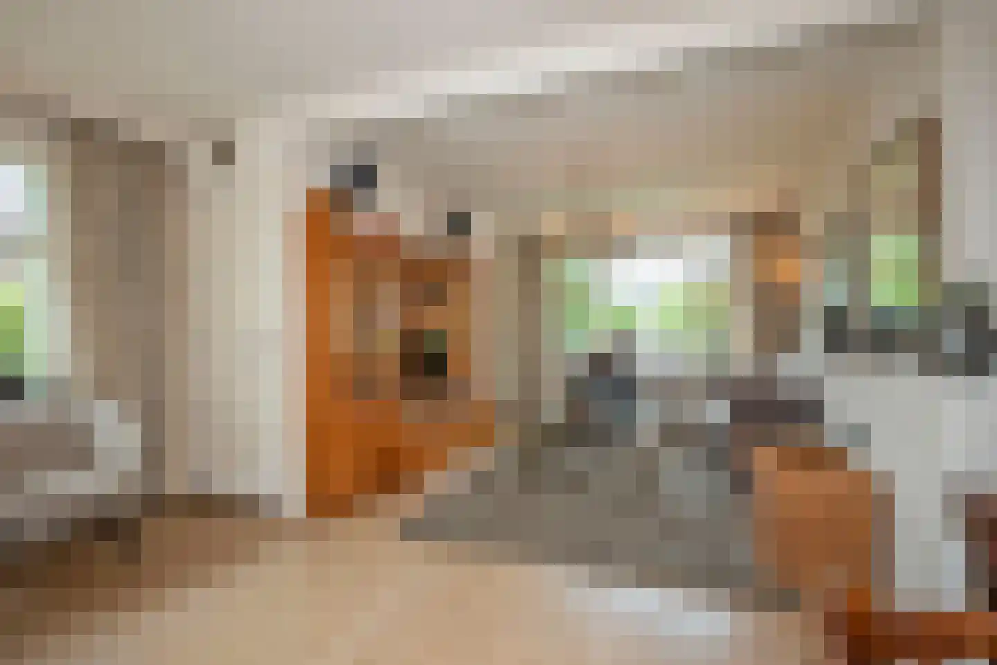 Vossenbrinkweg 74 Delden thumbnail 7