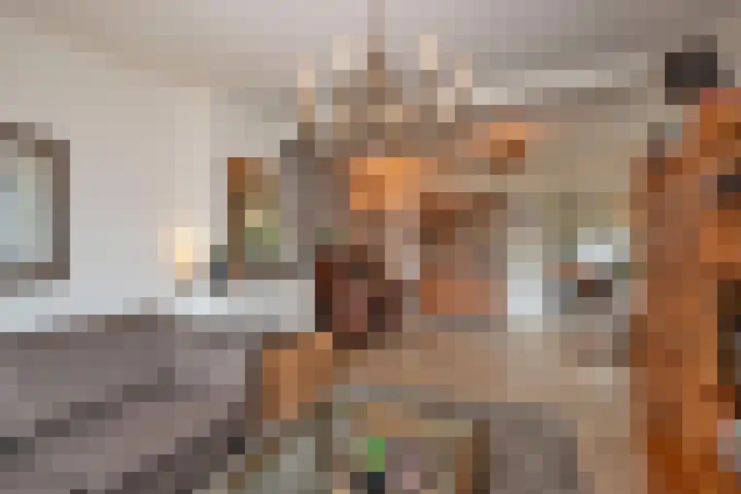 Vossenbrinkweg 74 Delden thumbnail 9
