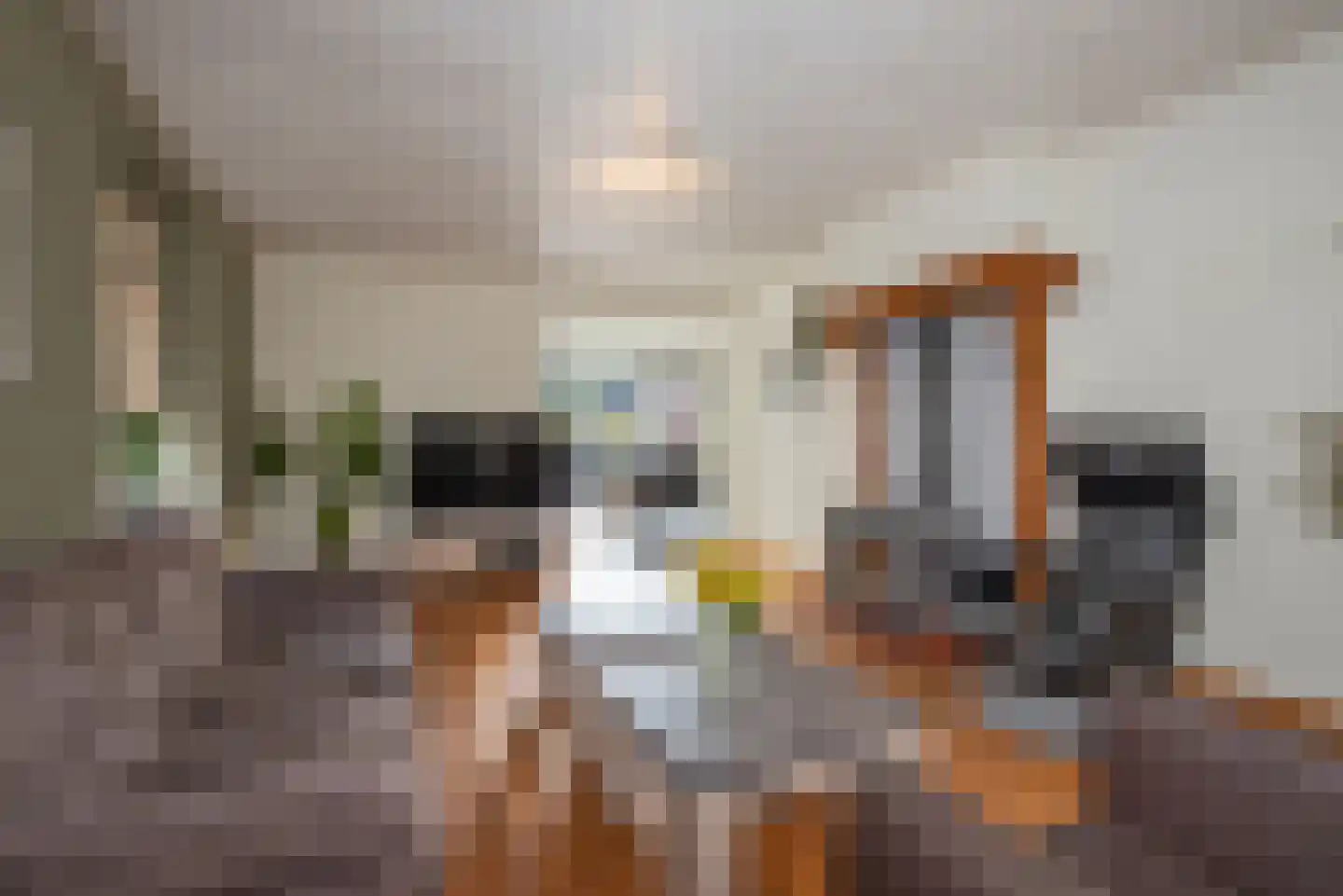 Vossenbrinkweg 83 Delden thumbnail 10