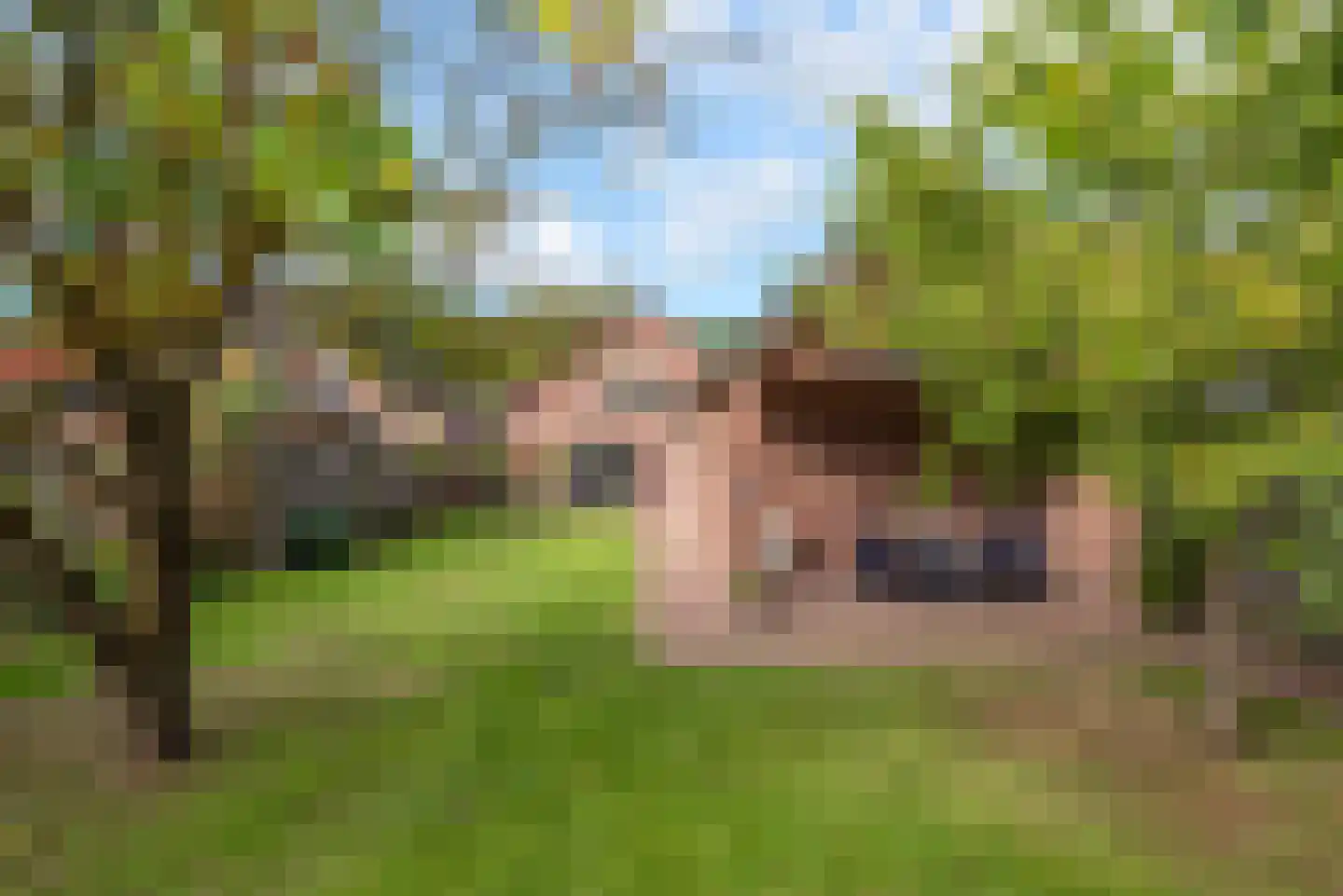 Vossenbrinkweg 83 Delden thumbnail 36