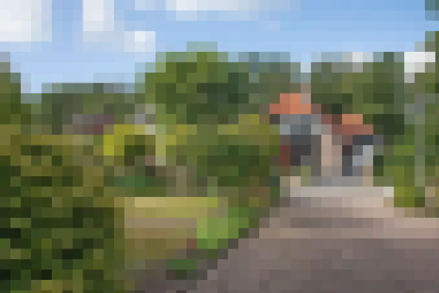Vossenbrinkweg 83 Delden thumbnail 38