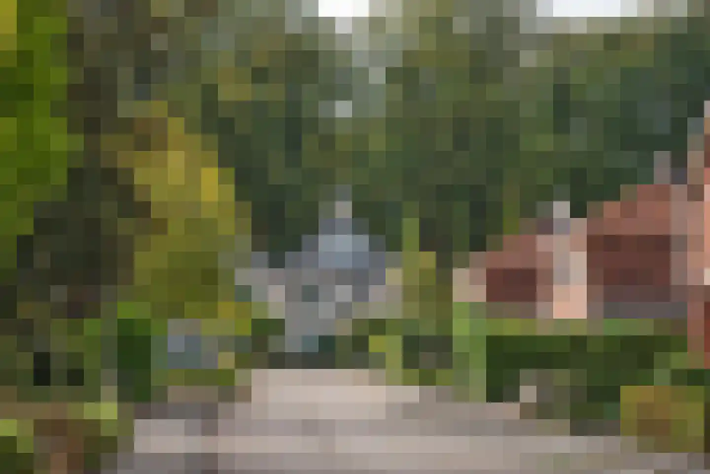 Vossenbrinkweg 83 Delden thumbnail 40