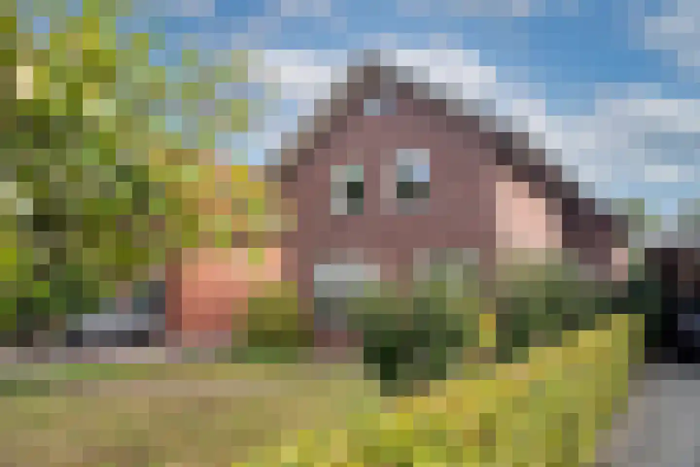Vossenbrinkweg 83 Delden thumbnail 42