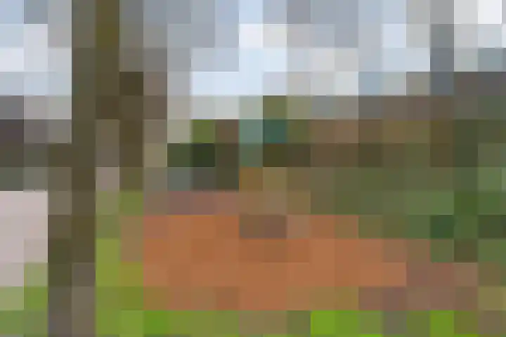 Vossenburchkade 116 Gouda thumbnail 45