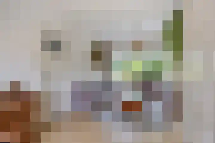 Vossenburchkade 22 Gouda thumbnail 13