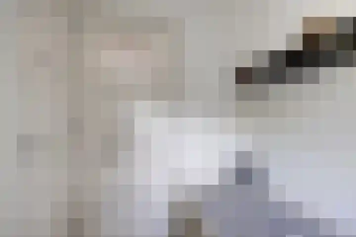 Vossenburchkade 22 Gouda thumbnail 28