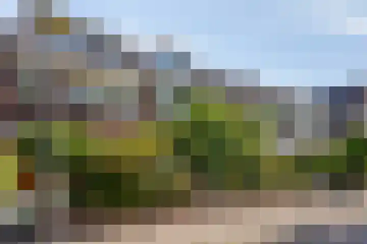 Vossenburchkade 22 Gouda thumbnail 49