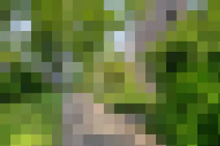 Vossenburchkade 22 Gouda thumbnail 52