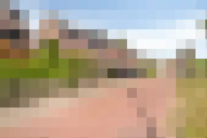 Vossenburchkade 70 Gouda thumbnail 26