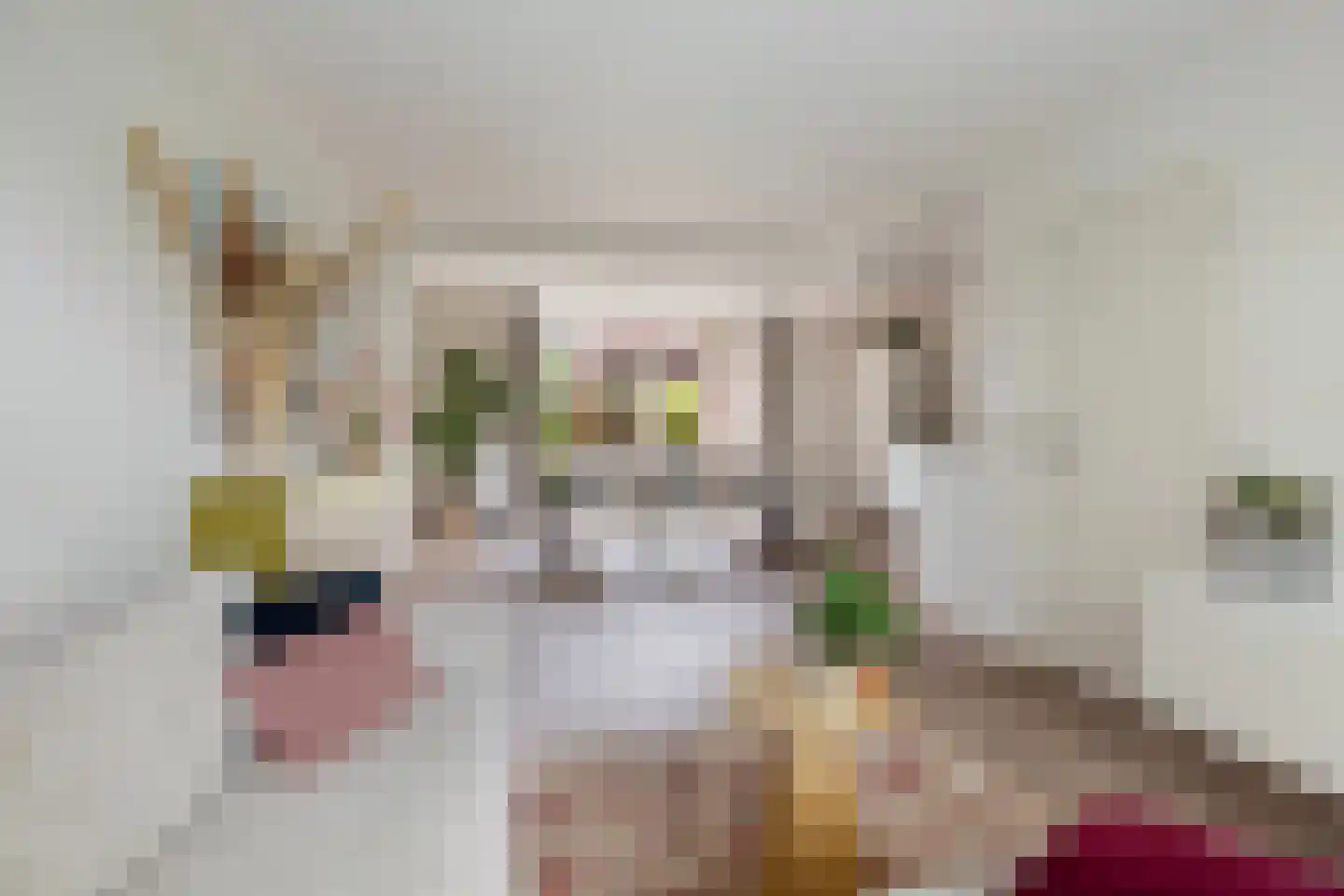 Vossenburcht 17 Hurdegaryp thumbnail 15