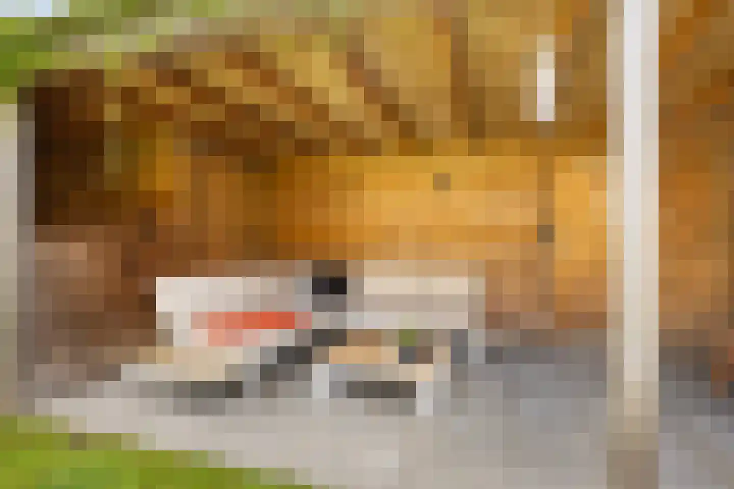 Vossenburcht 17 Hurdegaryp thumbnail 47