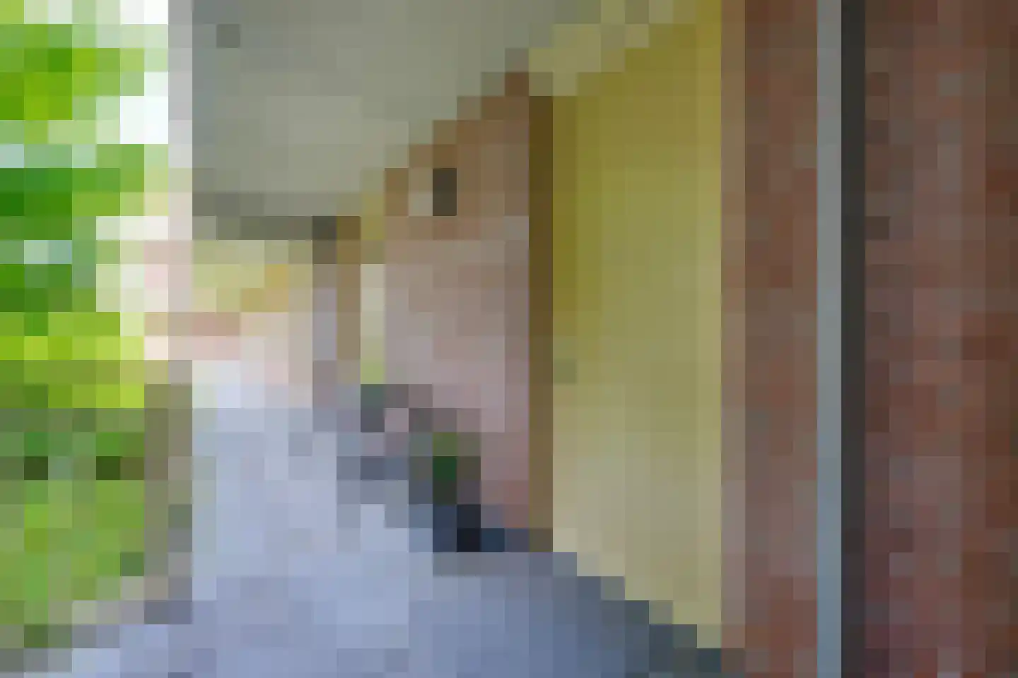 Vossenburcht 24 Vleuten thumbnail 19