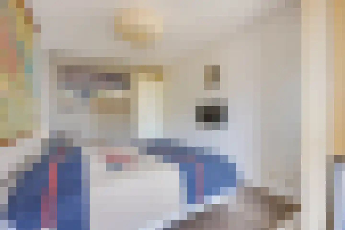 Vossenburcht 24 Vleuten thumbnail 39