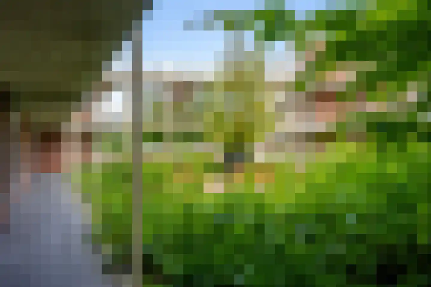 Vossenburcht 24 Vleuten thumbnail 51
