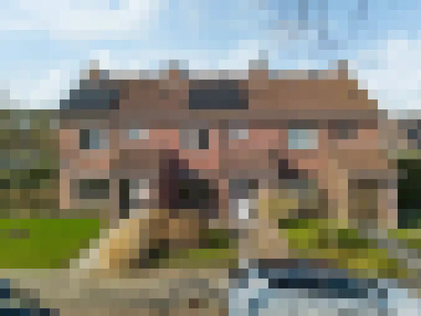 Vossenburcht 3 Tollebeek