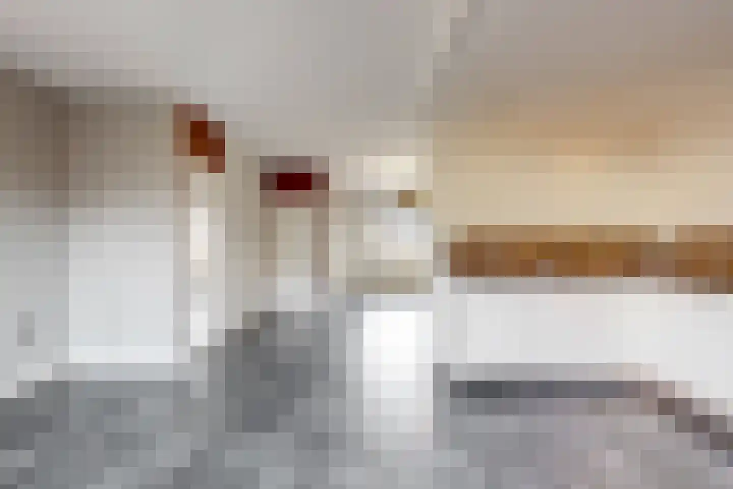Vossenburcht 3 Tollebeek thumbnail 14