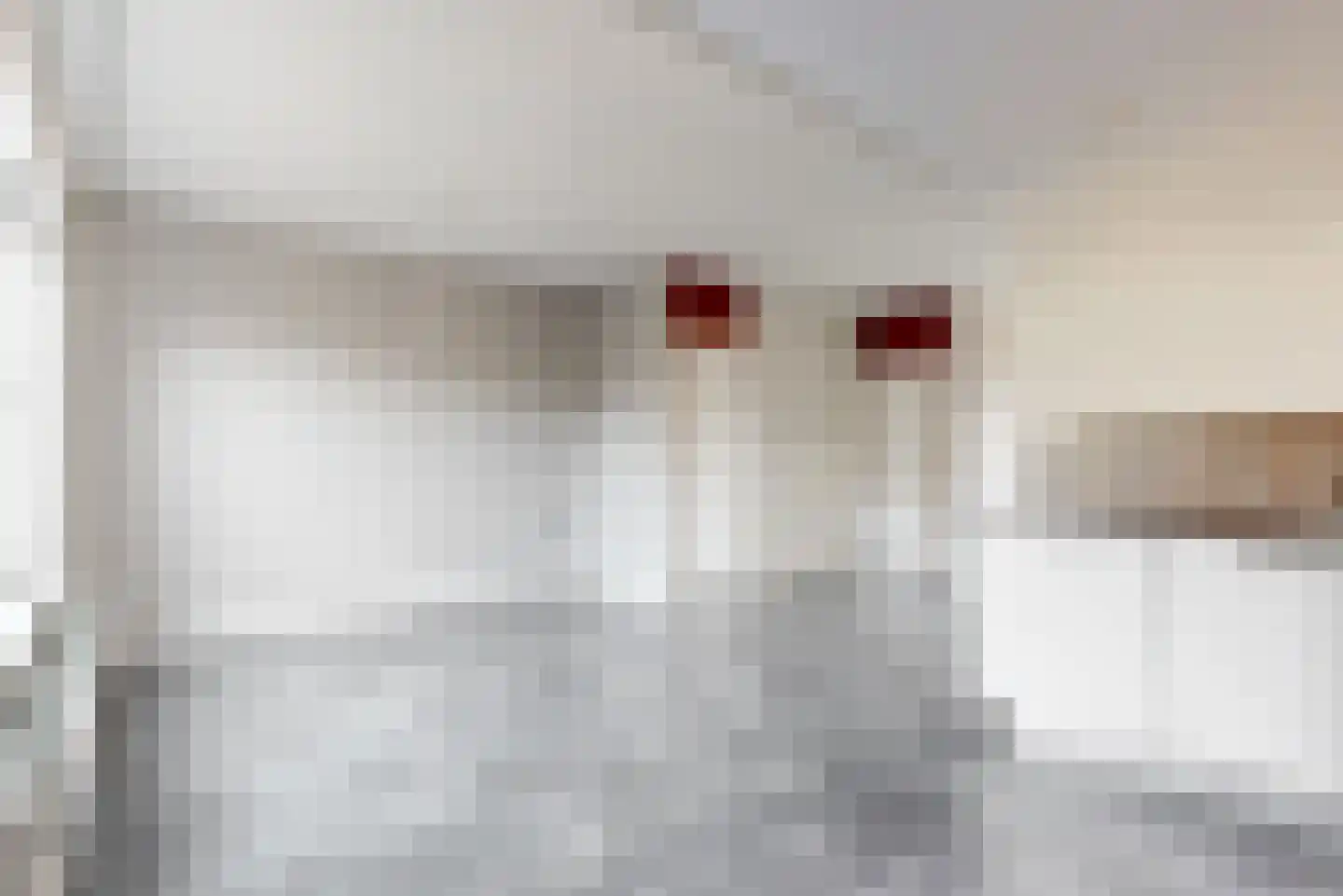 Vossenburcht 3 Tollebeek thumbnail 16