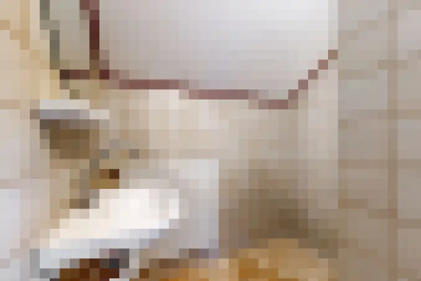 Vossenburcht 3 Tollebeek thumbnail 30