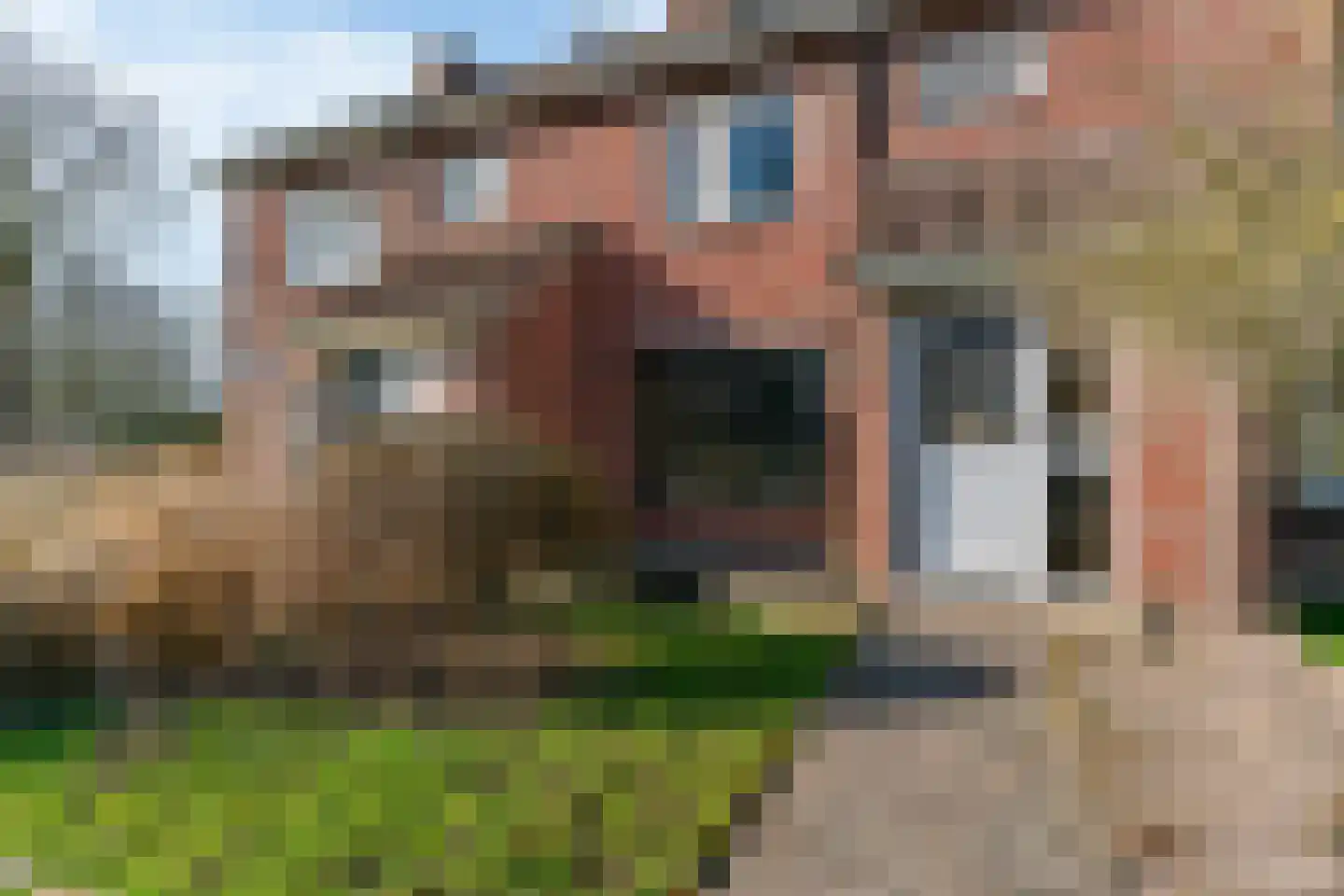 Vossenburcht 3 Tollebeek thumbnail 4
