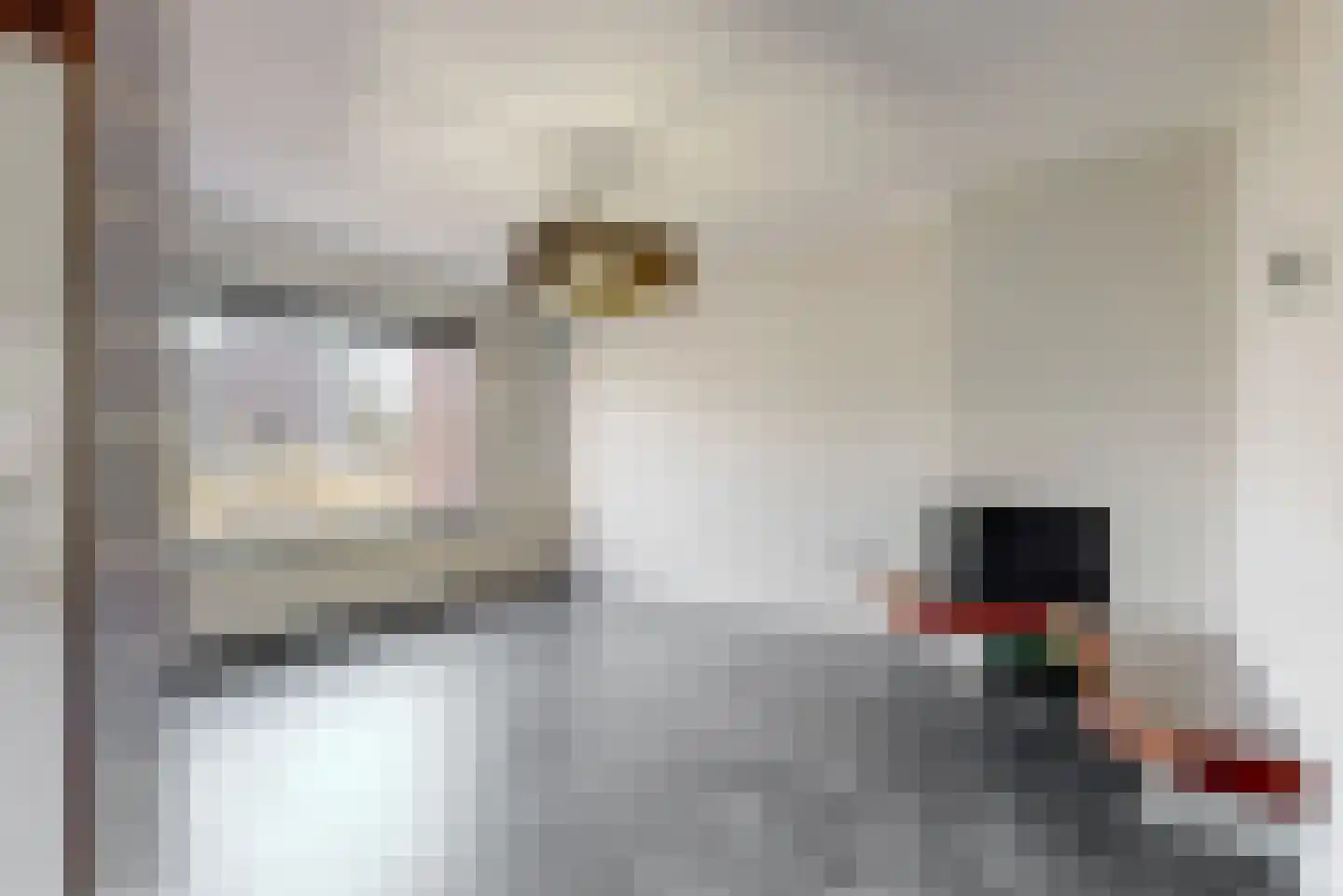 Vossenburcht 3 Tollebeek thumbnail 6
