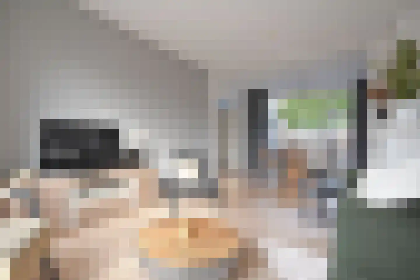 Vossenburcht 6 Hurdegaryp thumbnail 24