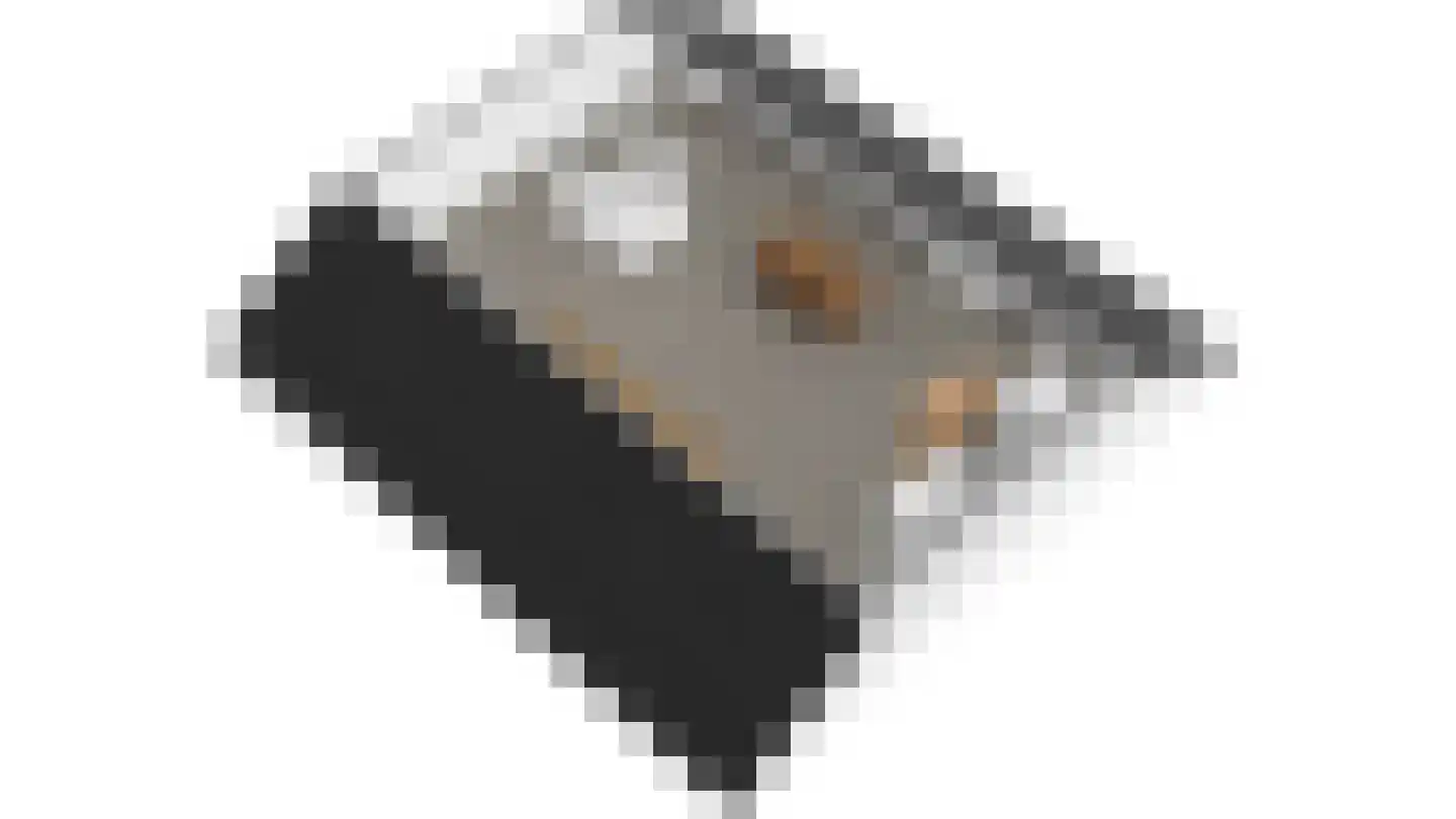 Vossenburcht 6 Hurdegaryp thumbnail 48