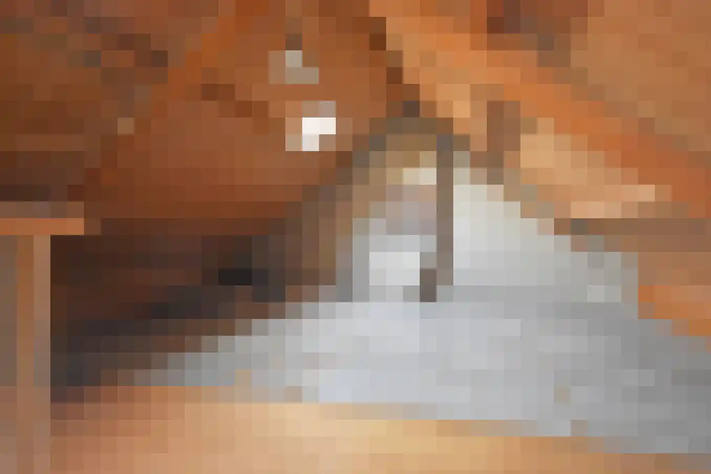 Vossenburcht 6 Hurdegaryp thumbnail 50