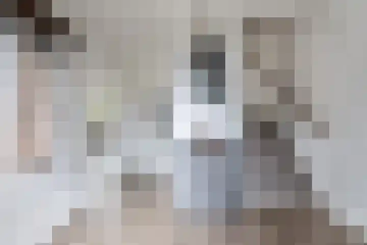 Vossenburcht 8 Hurdegaryp thumbnail 17