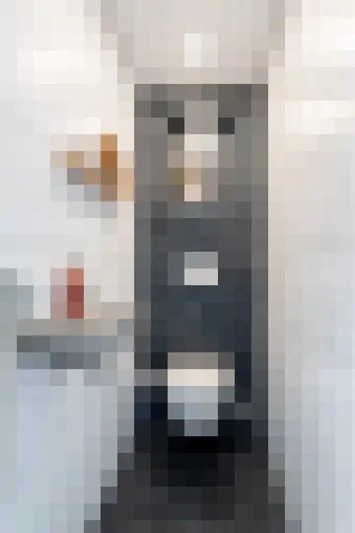 Vossenburcht 8 Hurdegaryp thumbnail 18