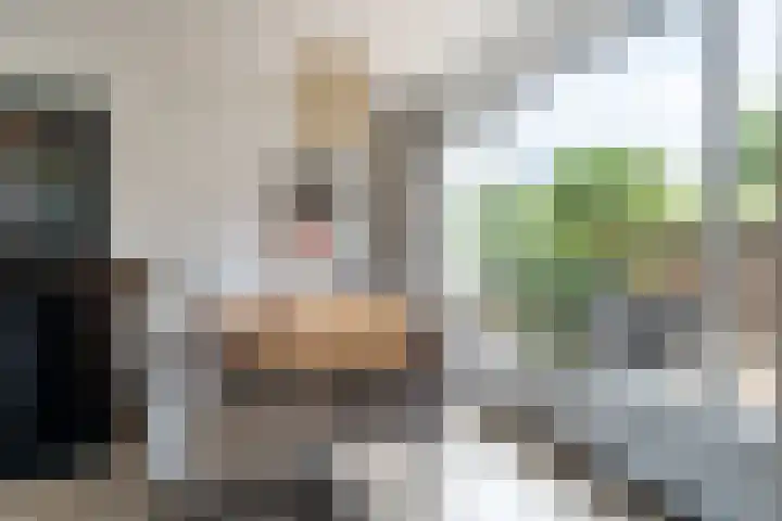 Vossenburcht 8 Hurdegaryp thumbnail 21