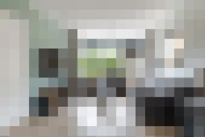 Vossenburcht 8 Hurdegaryp thumbnail 25