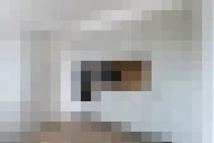 Vossenburcht 8 Hurdegaryp thumbnail 30
