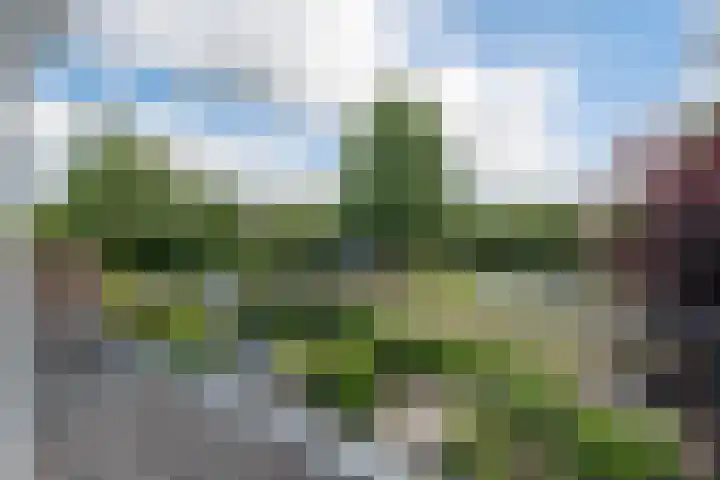 Vossenburcht 8 Hurdegaryp thumbnail 41