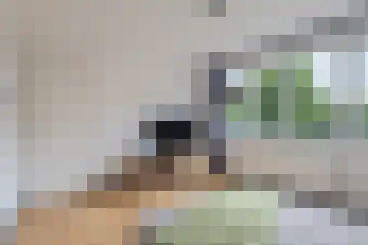 Vossenburcht 8 Hurdegaryp thumbnail 42